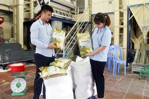 Lào Cai có 27 sản phẩm nông nghiệp đạt từ 3 sao OCOP cấp tỉnh