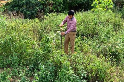 Chính trị - Xã hội Theo dòng thời sự Xác định mốc địa giới hành chính theo Nghị quyết 31