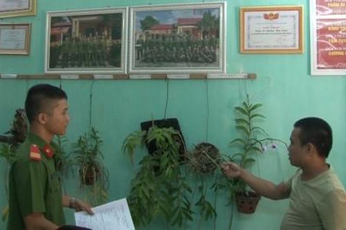Chính trị - Xã hội Pháp luật - Cuộc sống 7 lần trộm hoa lan