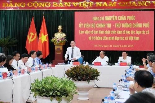 Kinh tế hợp tác sau 15 năm thực hiện Nghị quyết Trung ương 5 khóa IX: Bước phát triển đáng kể về lượng và chất