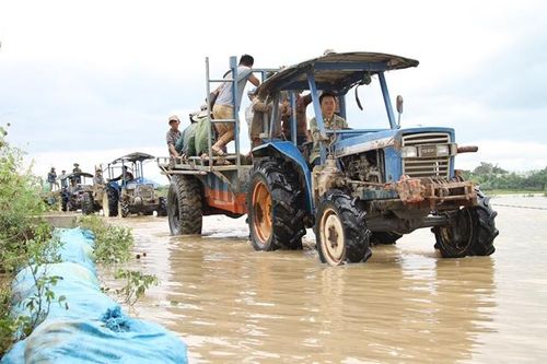 Vỡ đê bao Quảng Điền, hàng trăm người dân lại trầm mình cứu lúa