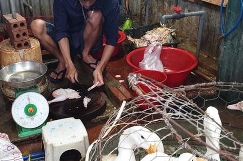 Ngay giữa Thủ đô, nhiều khu chợ bất chấp lệnh cấm