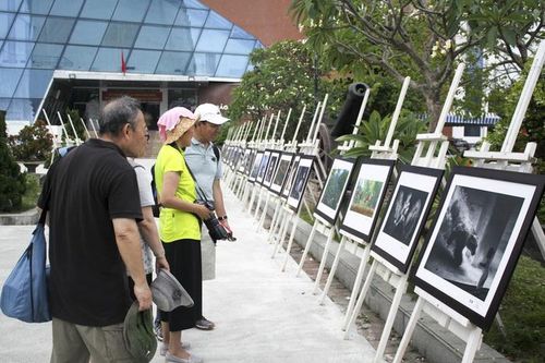 Thị trưởng ảnh Việt Nam: Như 'ao thu lạnh lẽo nước trong veo'