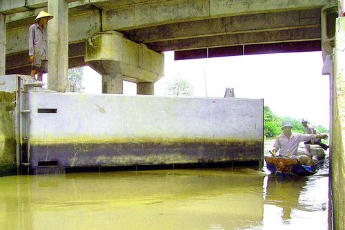 ĐBSCL lo chống hạn mặn