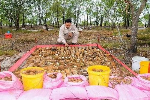 Phát hiện hai hầm đạn chứa hơn 1.400 vật liệu nổ tại Quảng Trị