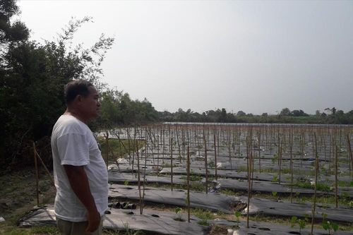 Dân trong dự án Sài Gòn Safari cần được sớm ổn định