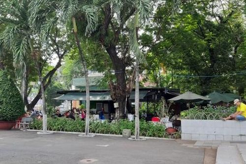 Dân số 10 triệu, nhưng TP Hồ Chí Minh chỉ có 100.000 cây xanh