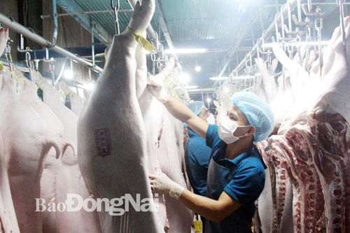 Giữ thương hiệu heo sạch Đồng Nai