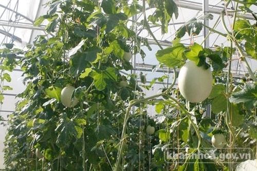 Khánh Hòa: Thêm 7 sản phẩm tham gia Chương trình OCOP