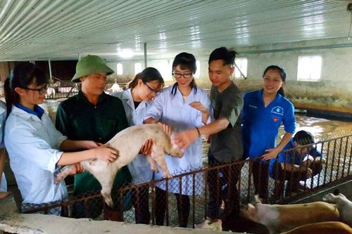 Góp sức trẻ xây dựng Thủ đô