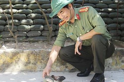 Nhà văn Nguyễn Thế Hùng: Cần mẫn cày ải từng con chữ...