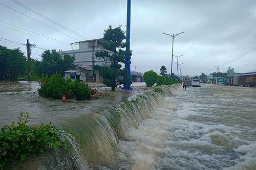 Lỗi từ phía con người là rất lớn
