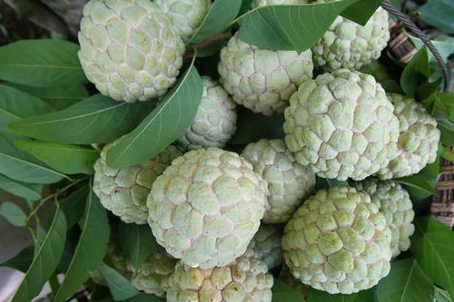 Định vị lại sản xuất