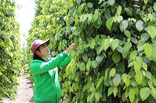 Bắc Giang đẩy mạnh cải cách hành chính