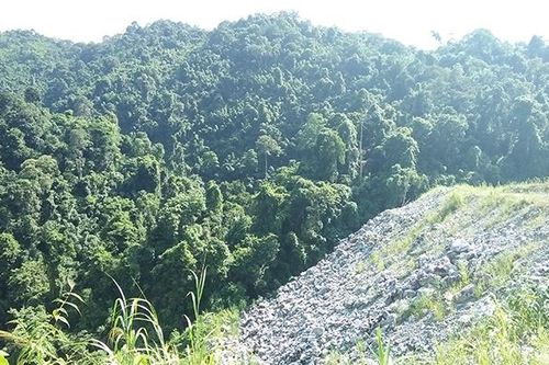 Xử lý những vụ xâm hại rừng phòng hộ ở Võ Nhai