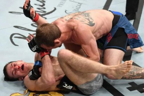 'Cao bồi' UFC đấm như máy, đối thủ nằm co ro chịu trận