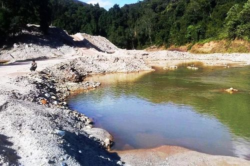 Ồ ạt trộm cát rừng phòng hộ để xây thủy điện