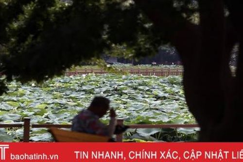 10 người thiệt mạng, 1.500 người nhập viện vì nắng nóng ở Hàn Quốc