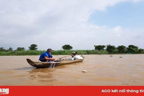 Nỗ lực bảo vệ nguồn lợi thủy sản