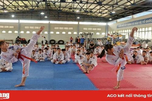 Taekwondo với những bước phát triển vững chắc