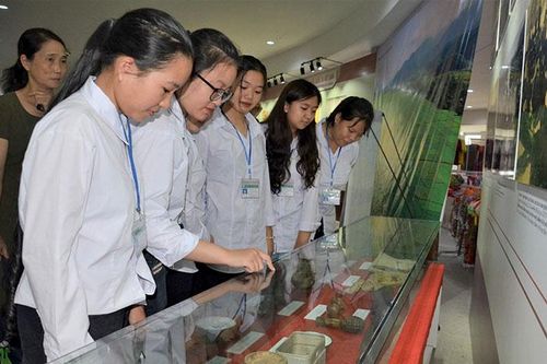 Liên kết vùng - chìa khóa để phát triển du lịch bền vững