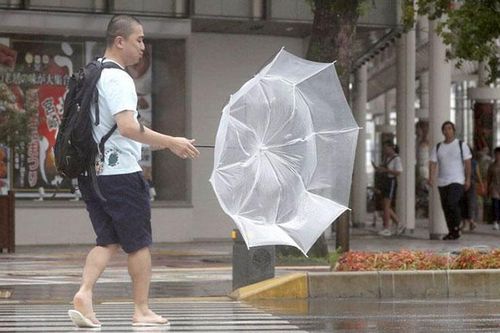 Nhật Bản sơ tán hơn 7.000 người tránh bão Krosa