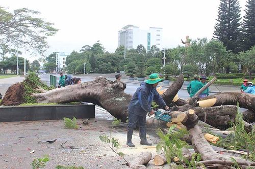 Gia Lai: Chủ động ứng phó với mưa lũ