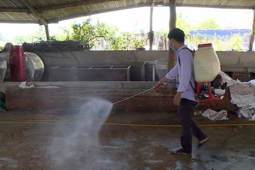 Ayun Pa: 100% xã, phường công bố dịch tả heo Châu Phi