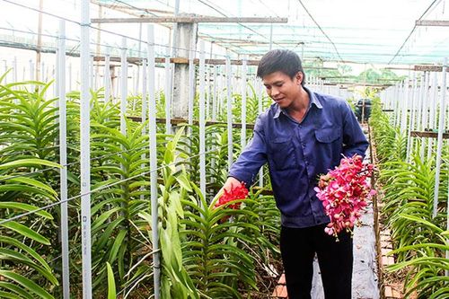 Trung tâm Nông nghiệp công nghệ cao: Sẽ thực hiện cổ phần hóa
