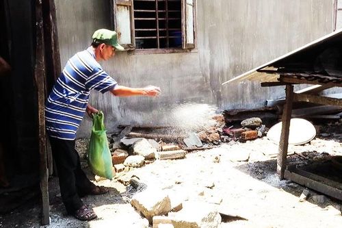 Bùng phát dịch tả heo châu Phi