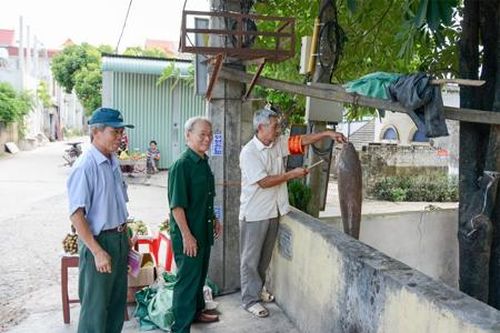 Hiệu quả mô hình 'Cựu chiến binh tự quản' ở thôn Kiến Phong