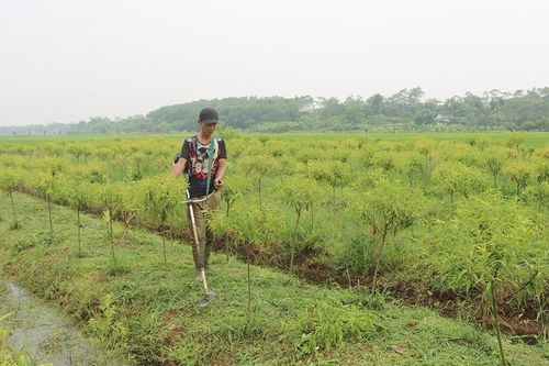Sức sống Chỉ thị 40 của Đảng về tín dụng chính sách