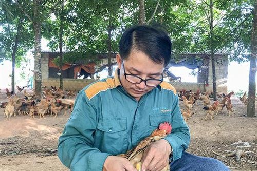 Chủ tịch Hội Nông dân xã Vĩnh Chấp với thương hiệu gà đồi