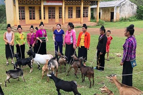 Phụ nữ Thành phố đẩy mạnh các phong trào thi đua