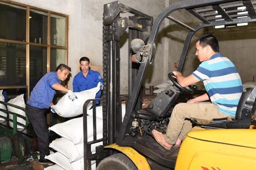 Thanh toán 283,2 tỷ đồng cho người trồng mía