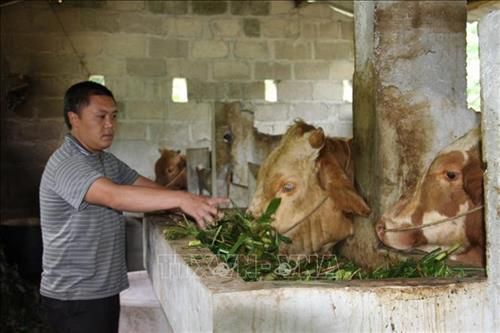 Thành công từ mô hình kinh tế tổng hợp