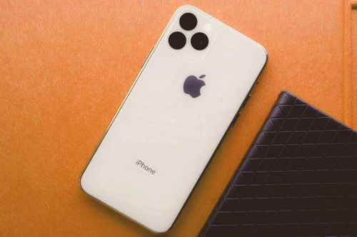 iPhone 11 sẽ có màn hình giống Samsung Galaxy S10 và Galaxy Note10