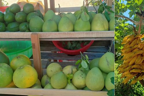 Hấp dẫn ngày hội văn hóa-du lịch Đại Bình