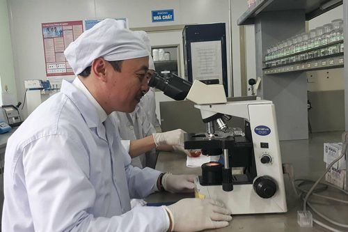 Tìm ra 2 hoạt chất có tác dụng hạ đường huyết mạnh