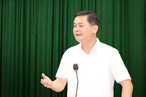 Chủ tịch UBND tỉnh làm Trưởng ban Chỉ đạo sắp xếp, sáp nhập đơn vị hành chính cấp xã