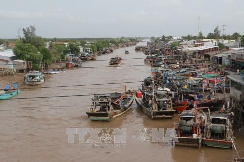 'Xóa sổ' đánh bắt thủy sản mang tính tận diệt