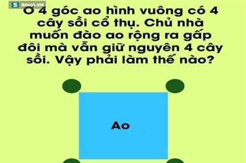 Vừa đào ao vừa muốn giữ vật: Câu đố hóc búa mà đáp án lại dễ đến bất ngờ