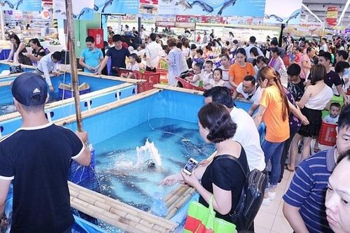 Kết nối cung cầu, hỗ trợ mở rộng thị trường