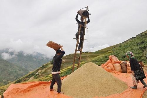 Đầu tư cho vùng DTTS là đầu tư cho phát triển