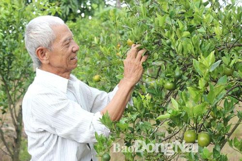 Quy hoạch sử dụng đất: Tạo thuận lợi cho người dân và doanh nghiệp