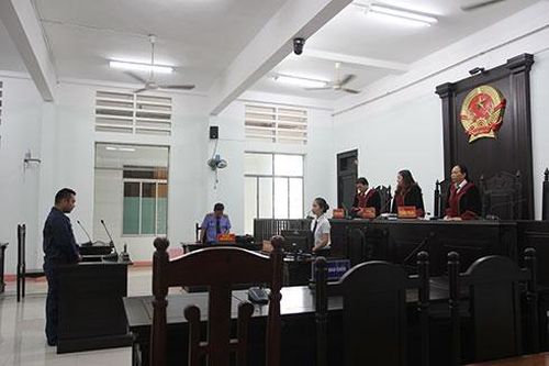 Không áp dụng tình tiết phạm tội với người già