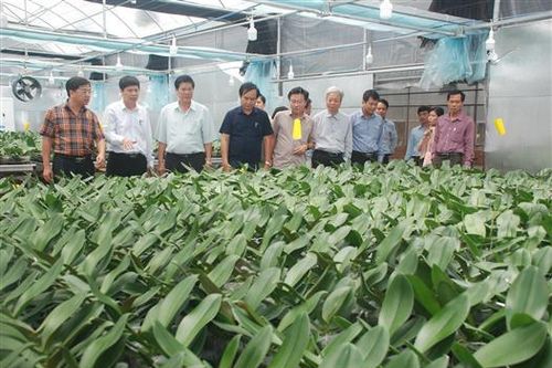 Ban Kinh tế - Ngân sách HĐND tỉnh Quảng Trị làm việc với Sở Khoa học và Công nghệ