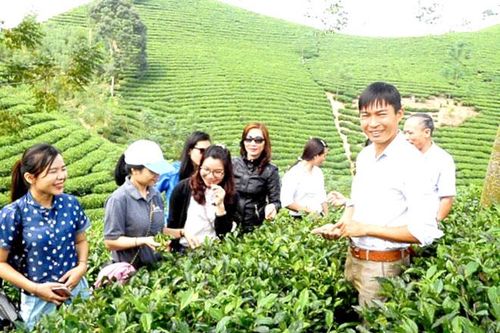 Về Tân Trào khám phá du lịch trải nghiệm