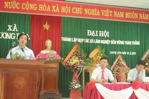 Kinh tế Kinh tế Nghiên cứu trồng xen keo với cây lát hoa để tăng thu nhập