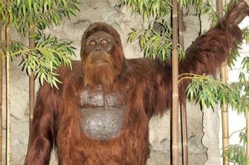 Chi tiết giật mình về quái vật Bigfoot huyền thoại